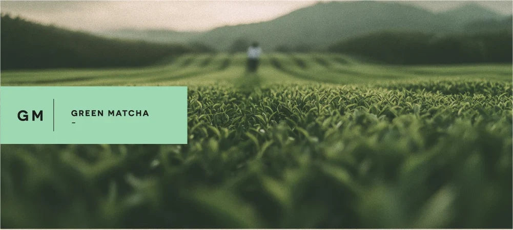 GREEN MATCHA
