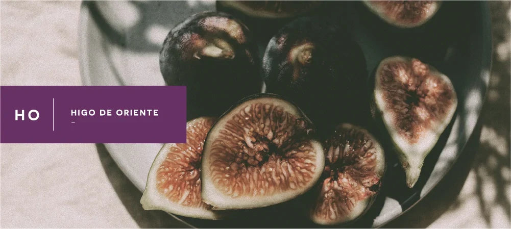 higo de oriente