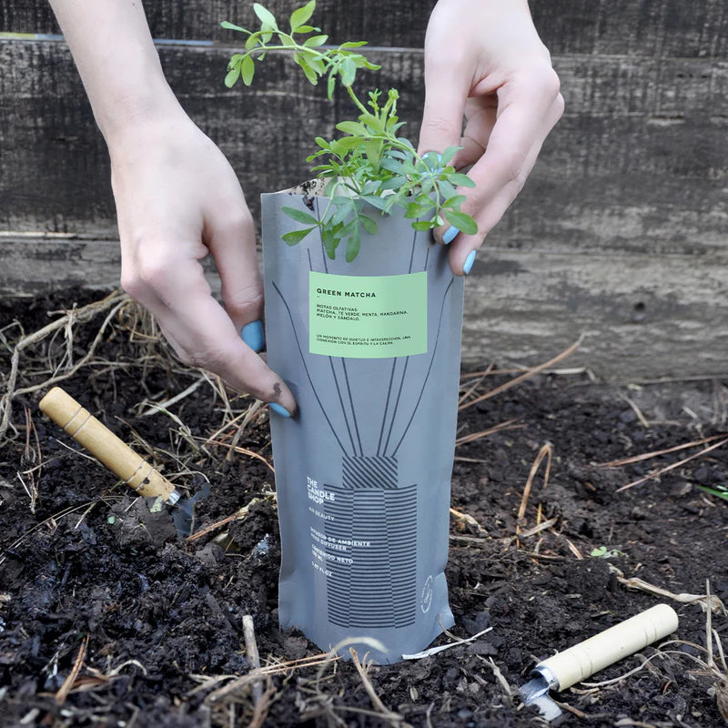 DIFUSOR BASIC GREEN MATCHA