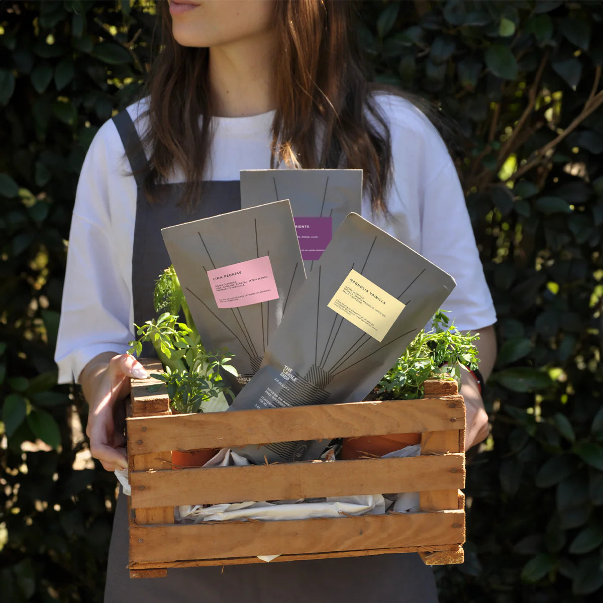 DIFUSOR BASIC NECTARINE